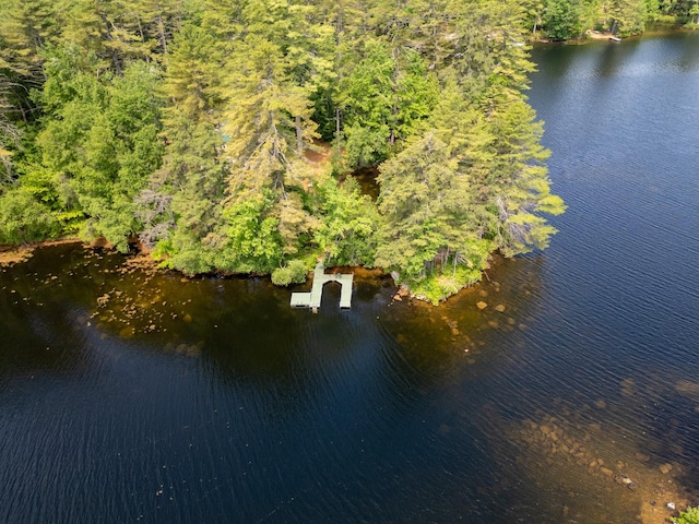 16 Walsh Dr, Denmark, ME 04022 - photo 50