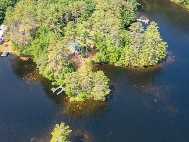 16 Walsh Dr, Denmark, ME 04022 - photo 9