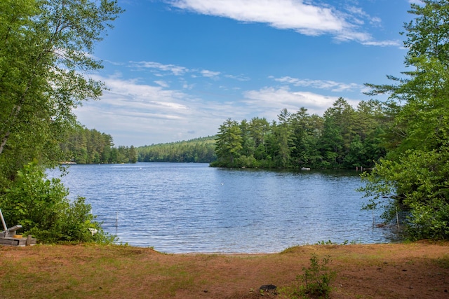 16 Walsh Dr, Denmark, ME 04022 - photo 4
