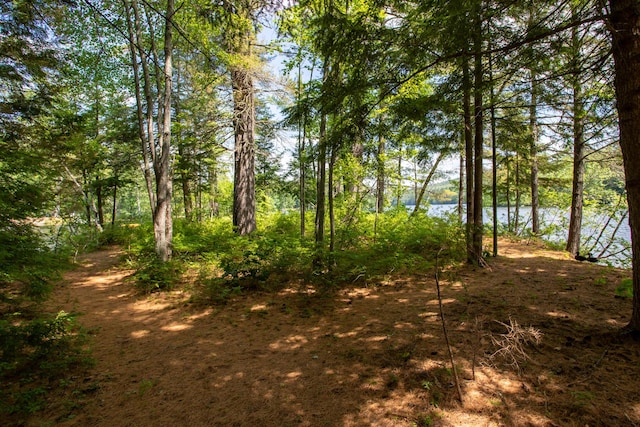 16 Walsh Dr, Denmark, ME 04022 - photo 5