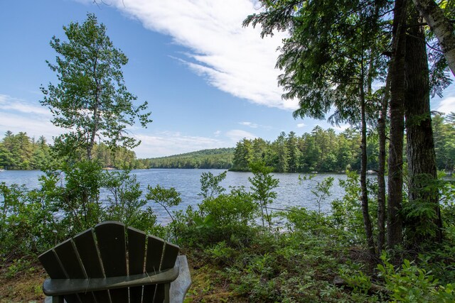 16 Walsh Dr, Denmark, ME 04022 - photo 7