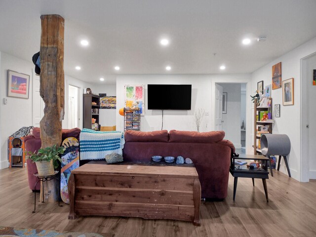 living room with light wood-type flooring