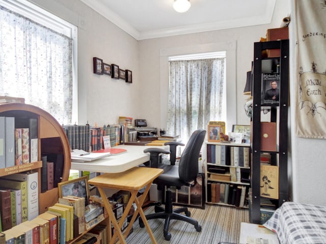 office space with ornamental molding