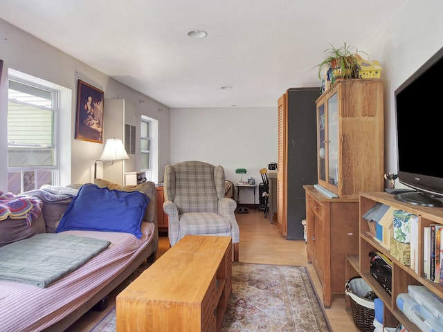 living room with wood-type flooring