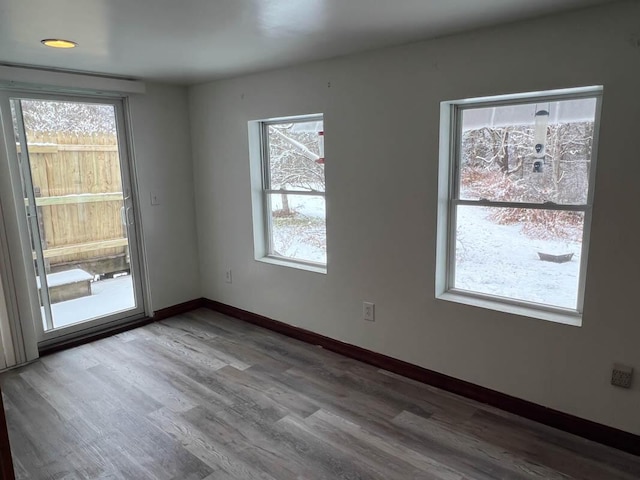 interior space with wood-type flooring