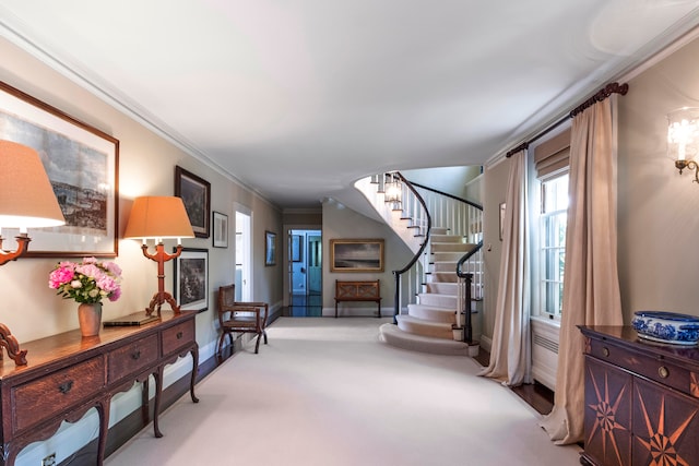 entrance foyer featuring carpet and ornamental molding