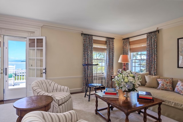 living room with crown molding and a wealth of natural light