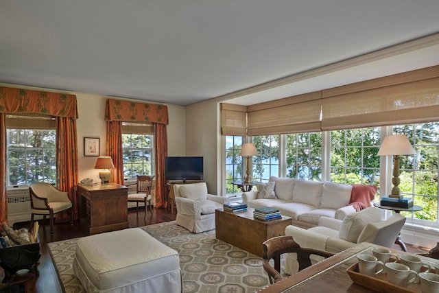 living room with dark hardwood / wood-style floors and a wealth of natural light