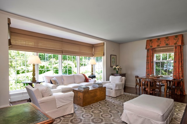 living room featuring dark hardwood / wood-style flooring