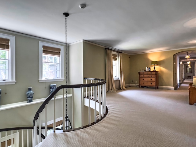 hall with carpet flooring, a chandelier, and crown molding