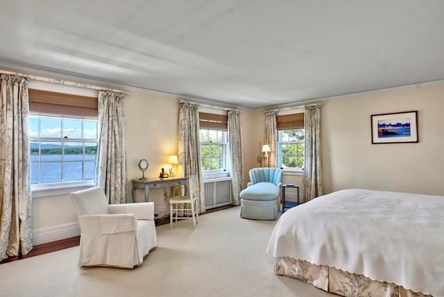 bedroom with a water view and radiator