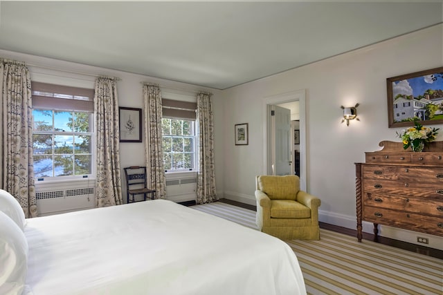 bedroom with radiator and multiple windows