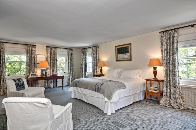 bedroom featuring dark colored carpet