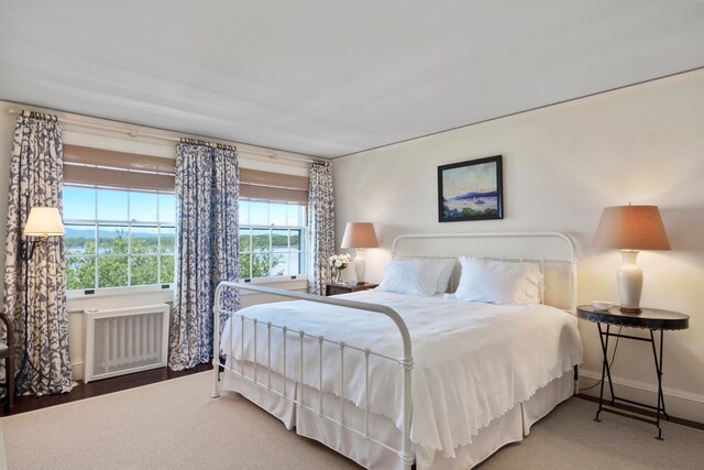 bedroom featuring hardwood / wood-style floors