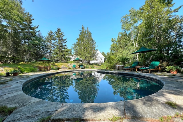 view of swimming pool with a patio