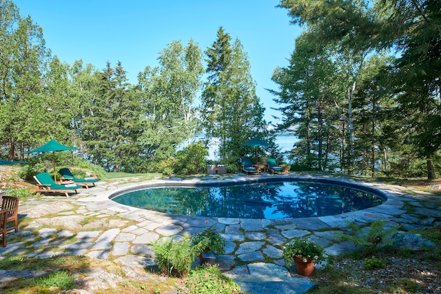 view of pool featuring a patio area