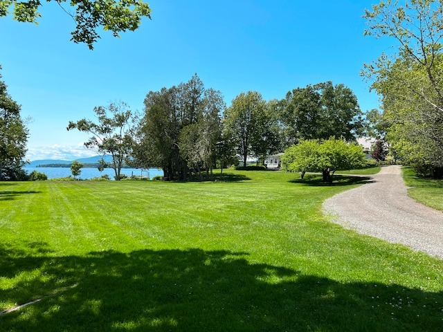 view of yard with a water view