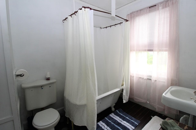 bathroom with toilet and wood-type flooring