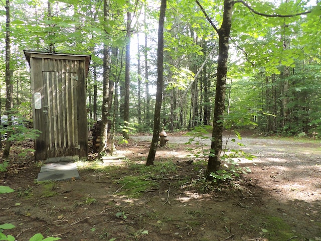 view of yard with a shed