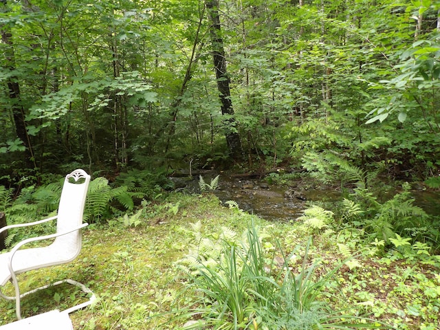 view of nature with a water view