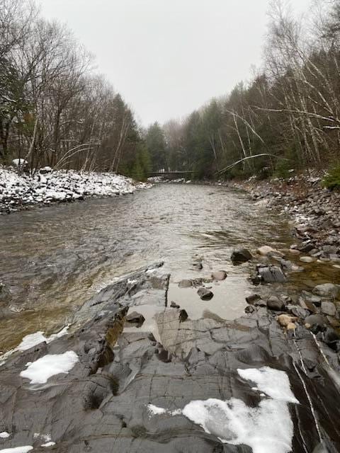 view of local wilderness featuring a water view