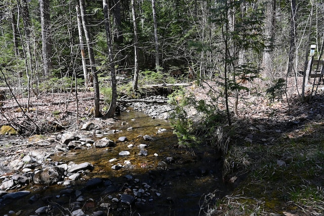 view of mother earth's splendor featuring a water view