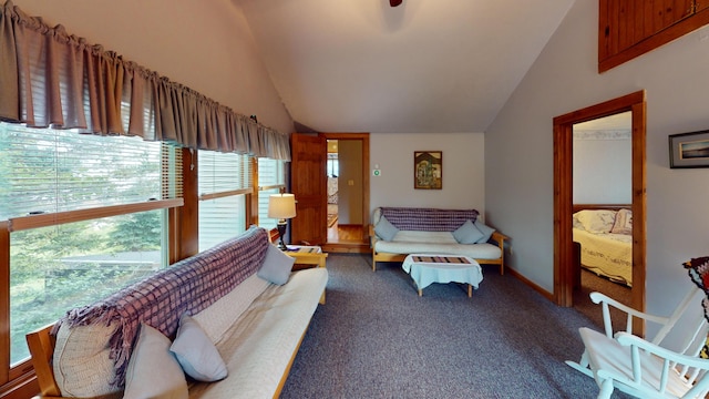 carpeted bedroom featuring high vaulted ceiling and multiple windows