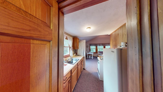 kitchen with dark carpet, sink, white appliances, and vaulted ceiling