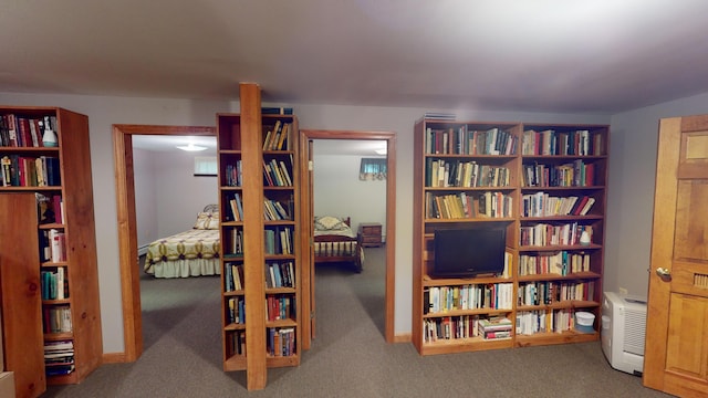 interior space with carpet flooring