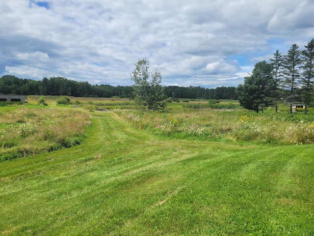 view of nature with a rural view