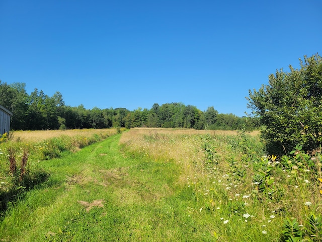 view of nature featuring a rural view