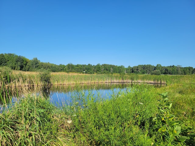 view of water feature