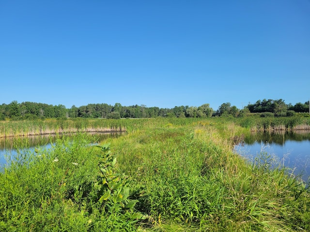 view of nature with a water view