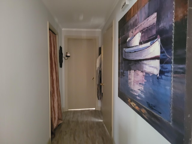 hallway featuring dark wood-type flooring