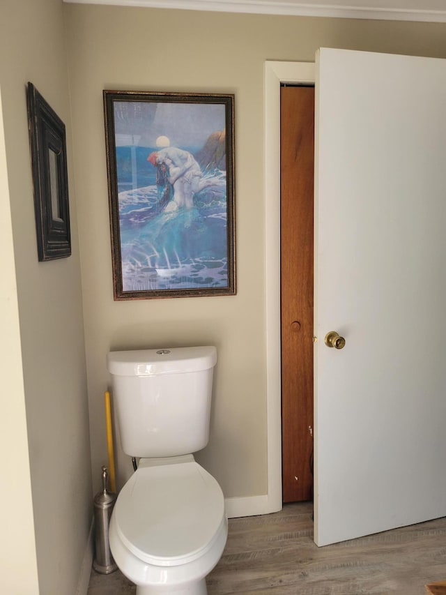 bathroom with toilet and wood-type flooring