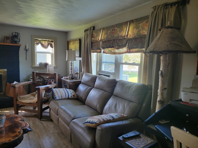 living room with light hardwood / wood-style floors and a healthy amount of sunlight