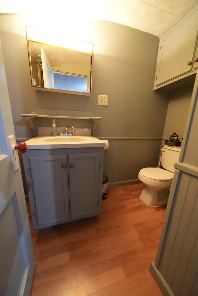 bathroom featuring toilet, large vanity, and hardwood / wood-style flooring