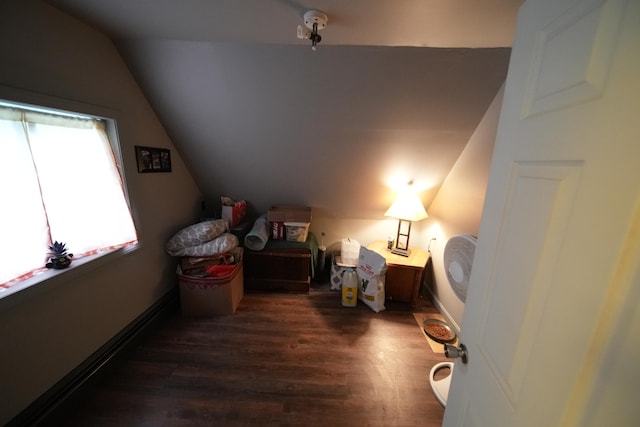 bedroom featuring dark hardwood / wood-style flooring and lofted ceiling