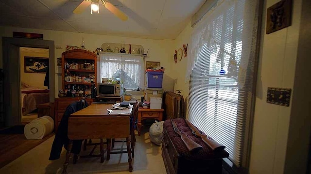 dining space featuring ceiling fan and a wealth of natural light