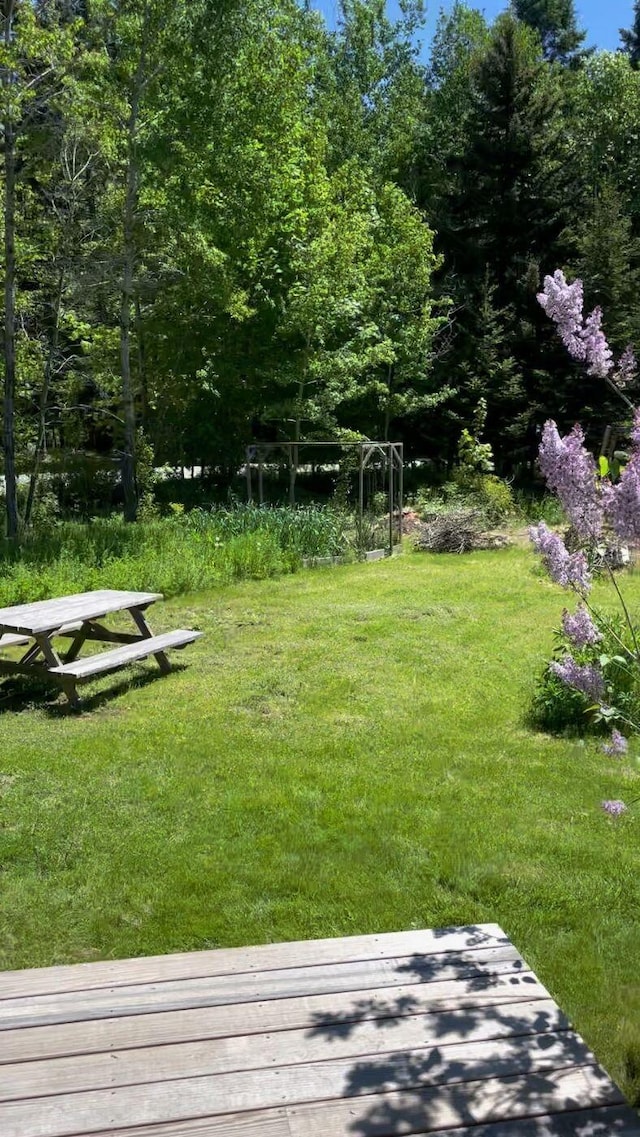 122 Main St, Cranberry Isles, ME 04646 - view of yard