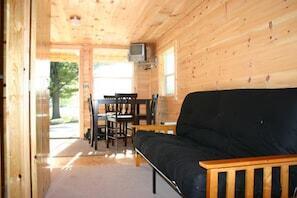 living area with wood walls