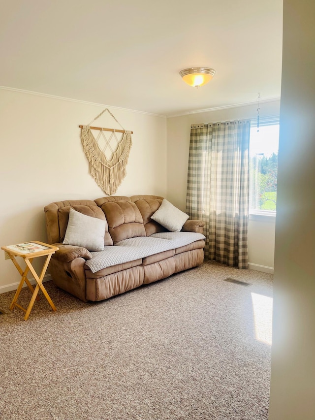 living room with carpet