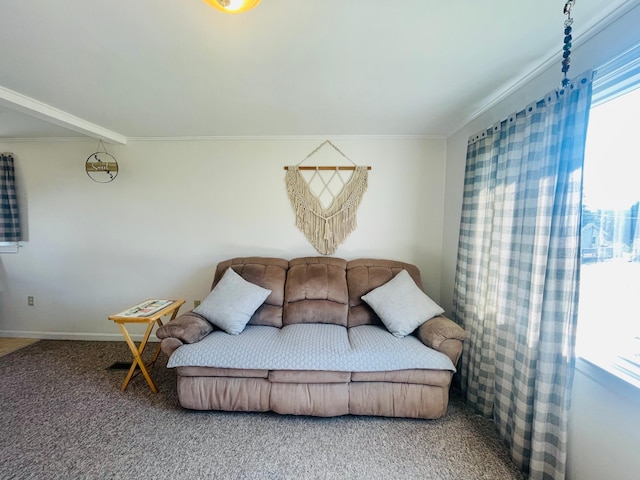 living area featuring crown molding and carpet