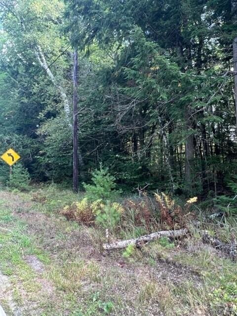 Listing photo 3 for 0 Trues Pond Rd, Montville ME 04941