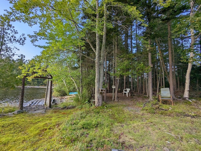 32 N Mud Cove Rd, Lily Bay Twp, ME 04441 - view of yard featuring a water view