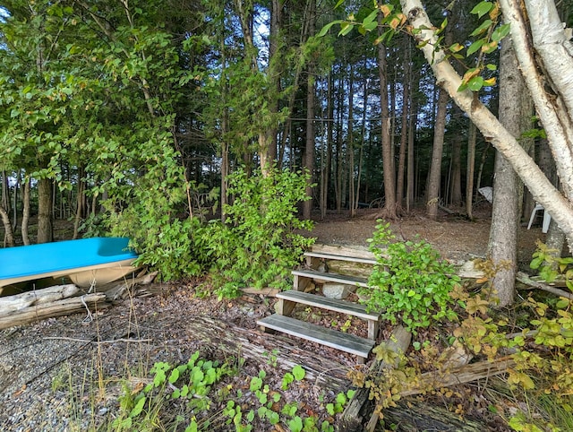 32 N Mud Cove Rd, Lily Bay Twp, ME 04441 - view of yard