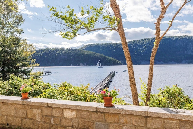 property view of water featuring a mountain view and a boat dock