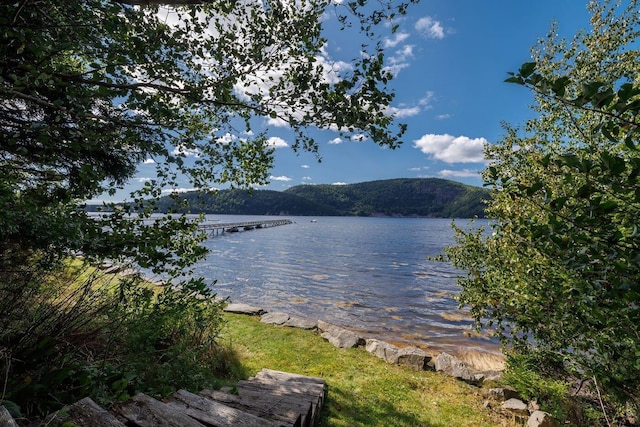 water view featuring a dock