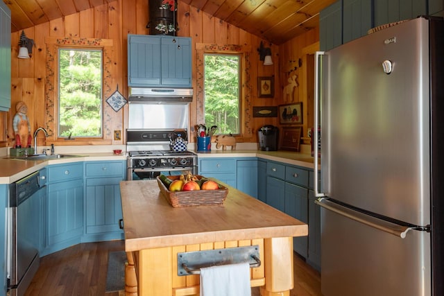 228 Starbird Ln, Rome, ME 04963 - kitchen featuring stainless steel appliances, vaulted ceiling, blue cabinetry, a sink, and under cabinet range hood
