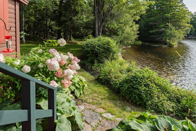 228 Starbird Ln, Rome, ME 04963 - view of yard with a water view